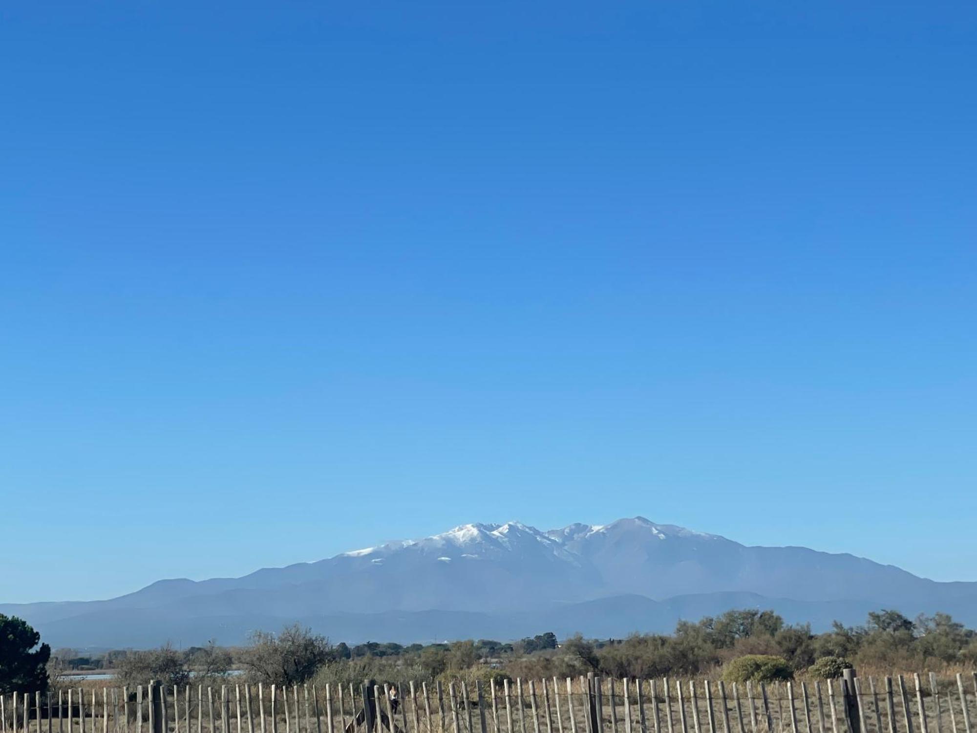Magnifique Vue Mer F2 45 M2, Parking Surveille Linge De Maison Inclus Canet-en-Roussillon Exterior foto